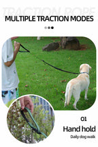 Heavy Duty Hands Free Dog Leash with Extra Handle – No Pull