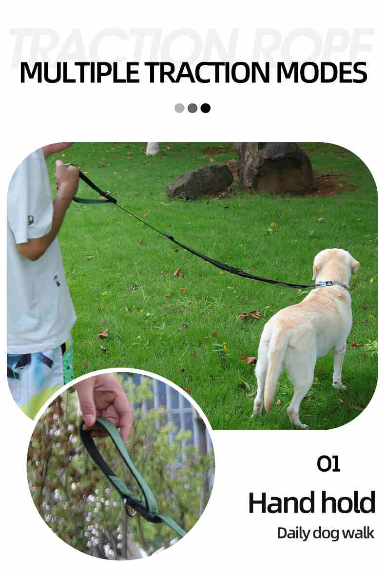 Heavy Duty Hands Free Dog Leash with Extra Handle – No Pull
