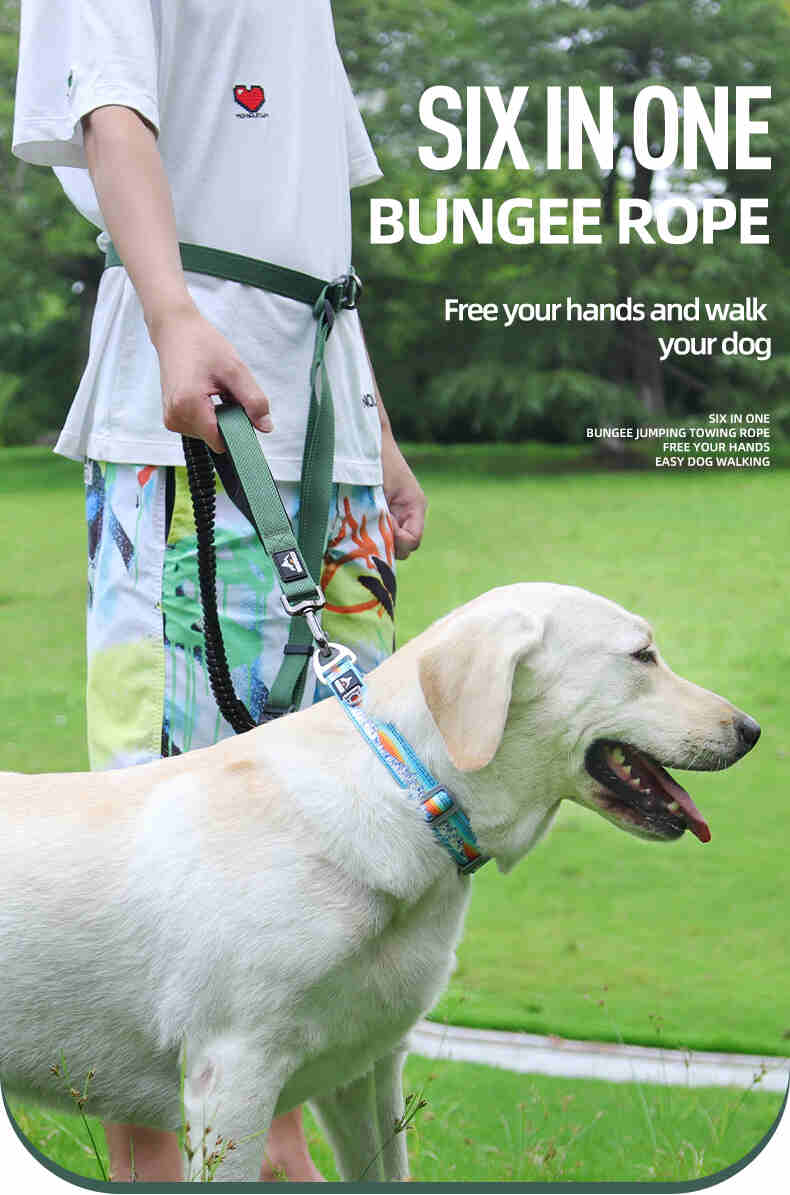 Heavy Duty Hands Free Dog Leash with Extra Handle – No Pull