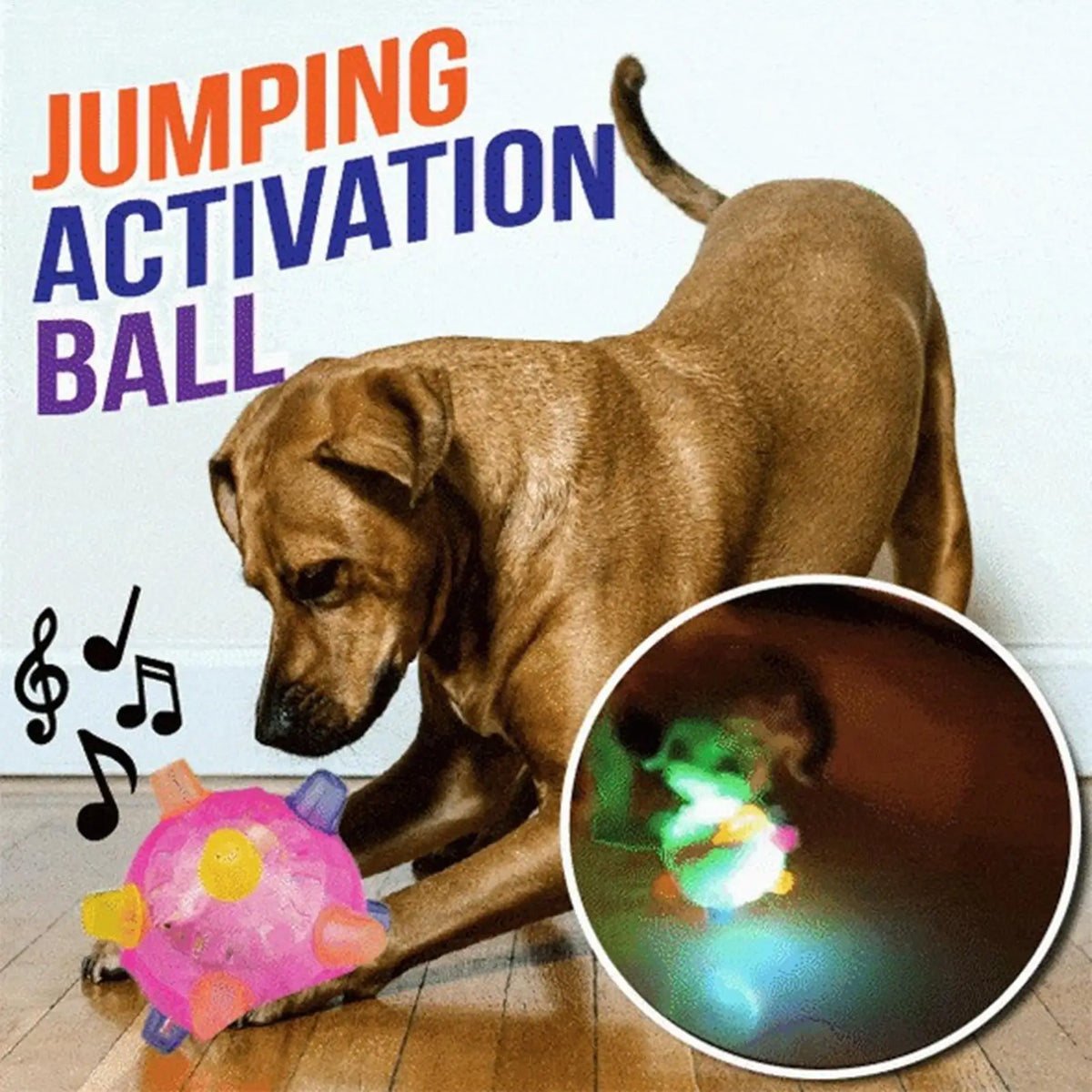 Interactive Rolling Ball Dog Toy with LED Lights & Music