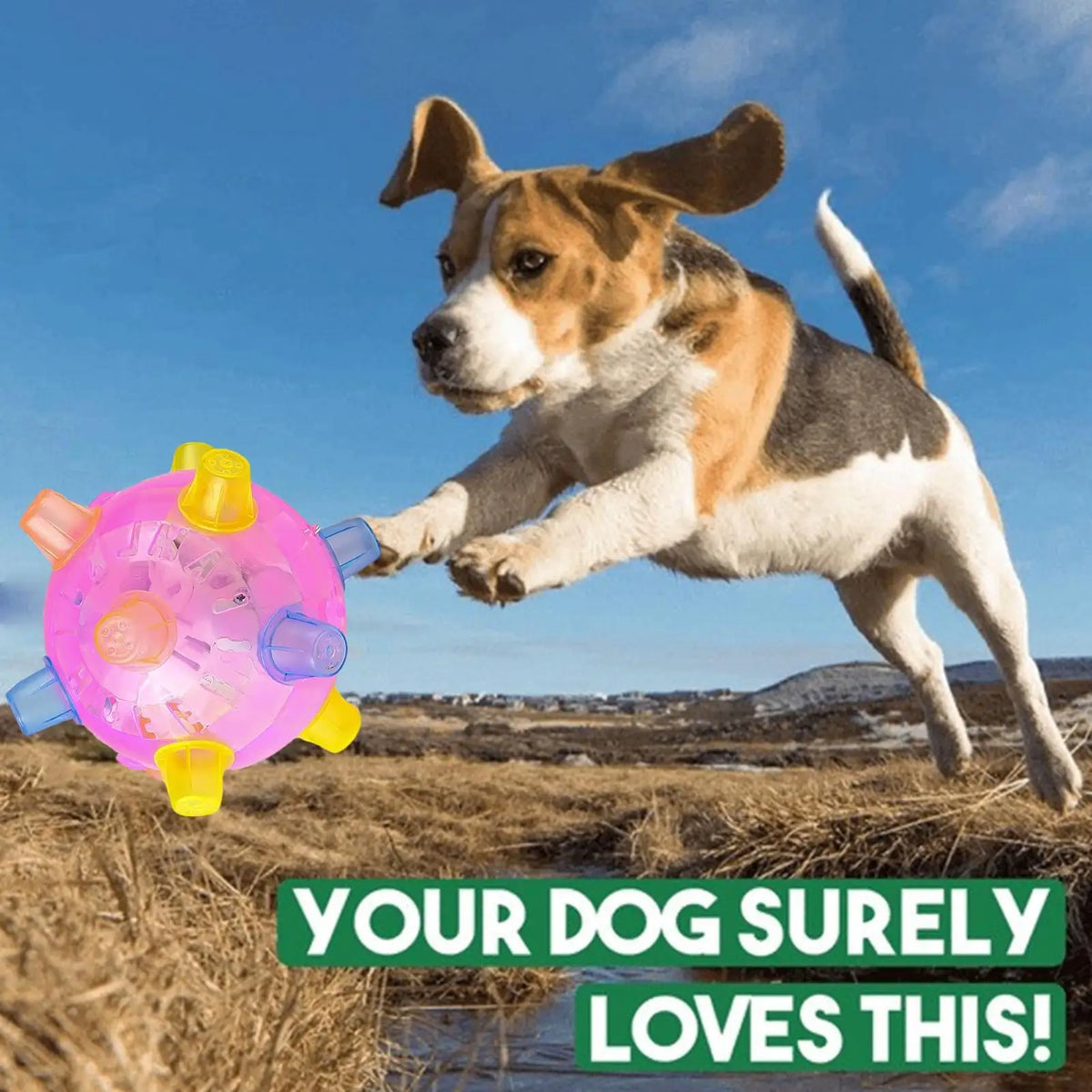 Interactive Rolling Ball Dog Toy with LED Lights & Music