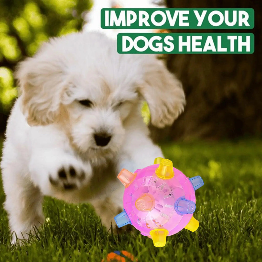 Interactive Rolling Ball Dog Toy with LED Lights & Music