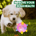 Interactive Rolling Ball Dog Toy with LED Lights & Music