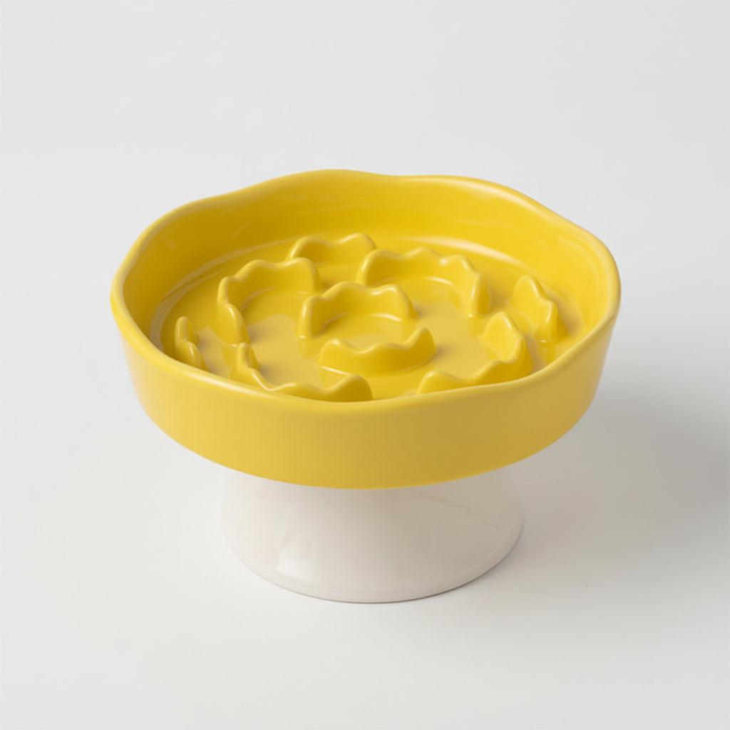 Ceramic Elevated Slow Feeder Bowl for Dogs & Cats