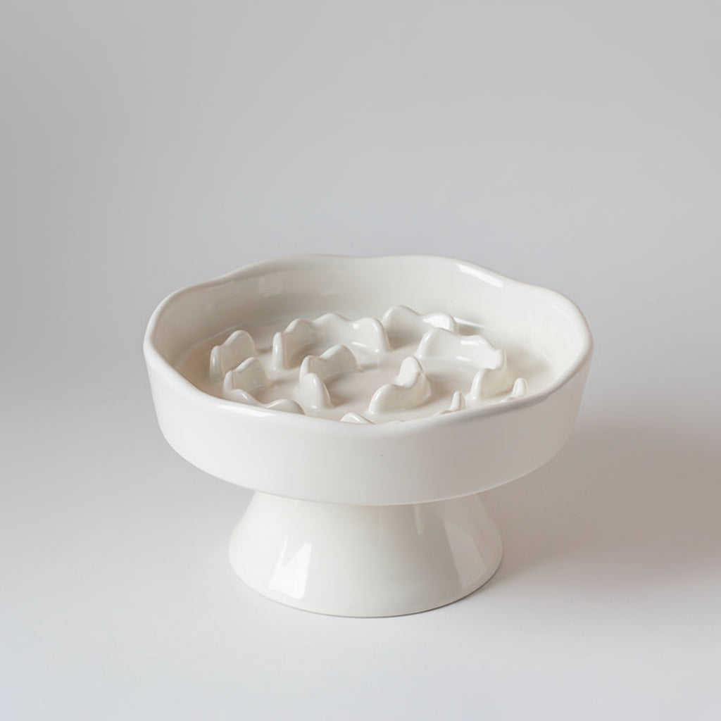 Ceramic Elevated Slow Feeder Bowl for Dogs & Cats