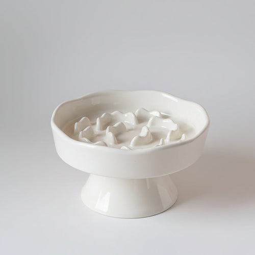 Ceramic Elevated Slow Feeder Bowl for Dogs & Cats