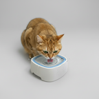 Slow Water Feeder Bowl for Dogs – Floating Plate Design