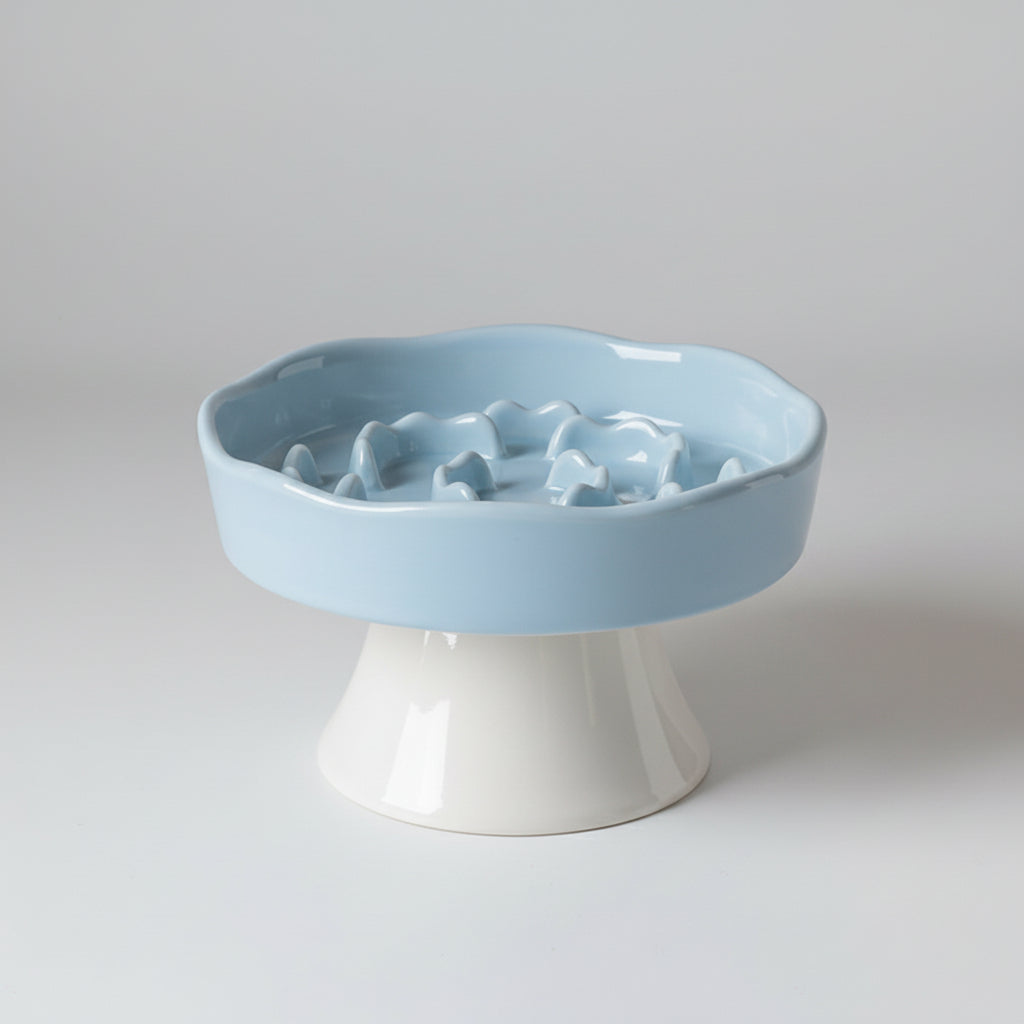 Ceramic Elevated Slow Feeder Bowl for Dogs & Cats