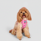 Pink Heart Print Dog Harness & Leash Set with Waste Bag Dispenser