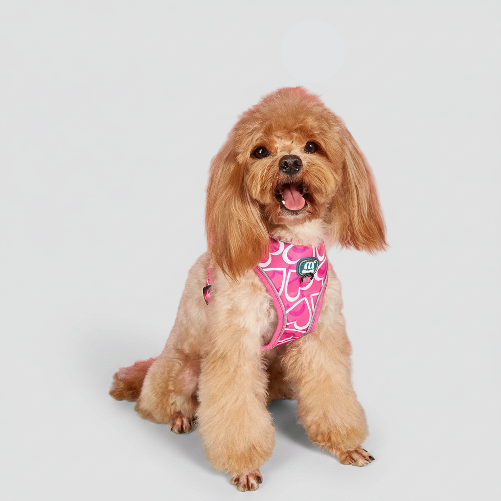 Pink Heart Print Dog Harness & Leash Set with Waste Bag Dispenser