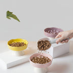 Ceramic Elevated Slow Feeder Bowl for Dogs & Cats