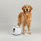 Automatic Dog Ball Launcher – Electric Fetch Toy for Indoor Play