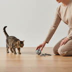 Smart Auto-Wake Ball Cat Toy – USB Rechargeable Interactive