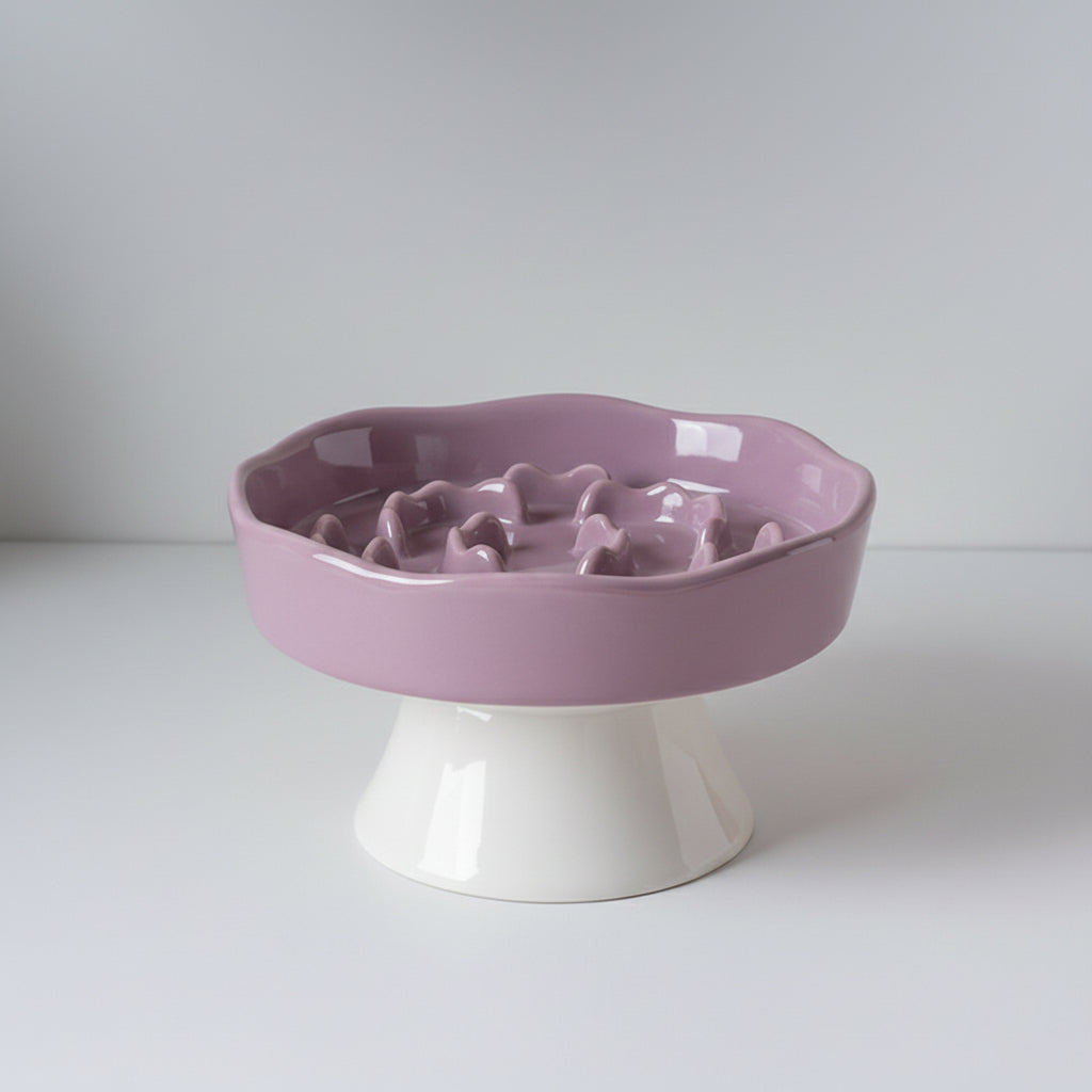 Ceramic Elevated Slow Feeder Bowl for Dogs & Cats