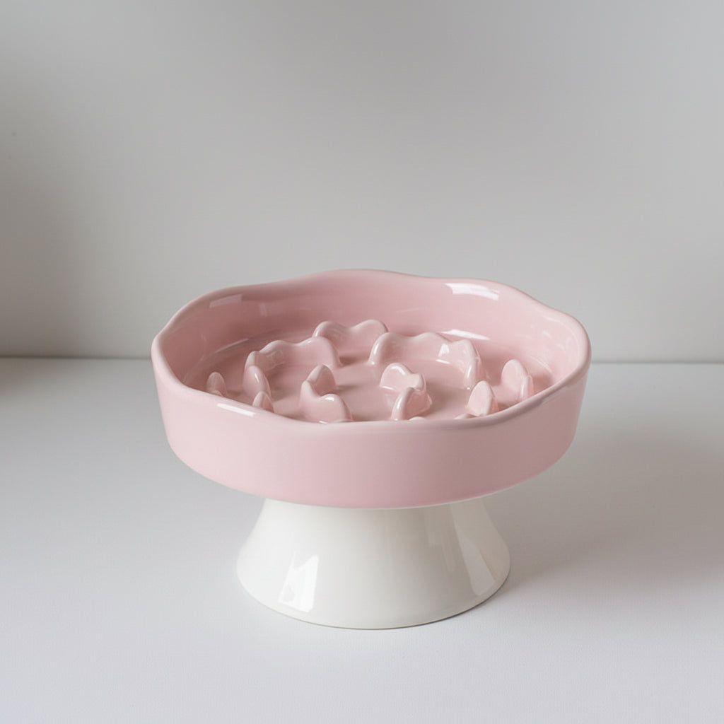Ceramic Elevated Slow Feeder Bowl for Dogs & Cats