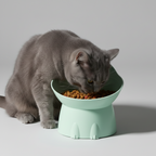 Raised Ergonomic Pet Bowl for Cats & Small Dogs
