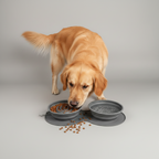 Silicone Collapsible Slow Feeder Travel Bowl for Dogs