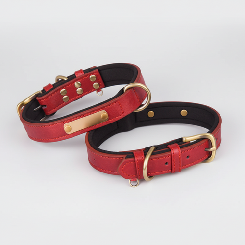 Breathable Cotton Dog Collar with Nameplate – Lightweight & Durable