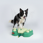 AquaPaw Dog Water Play Station – Pedal-Activated Outdoor Toy