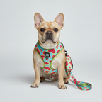 Pink Heart Print Dog Harness & Leash Set with Waste Bag Dispenser