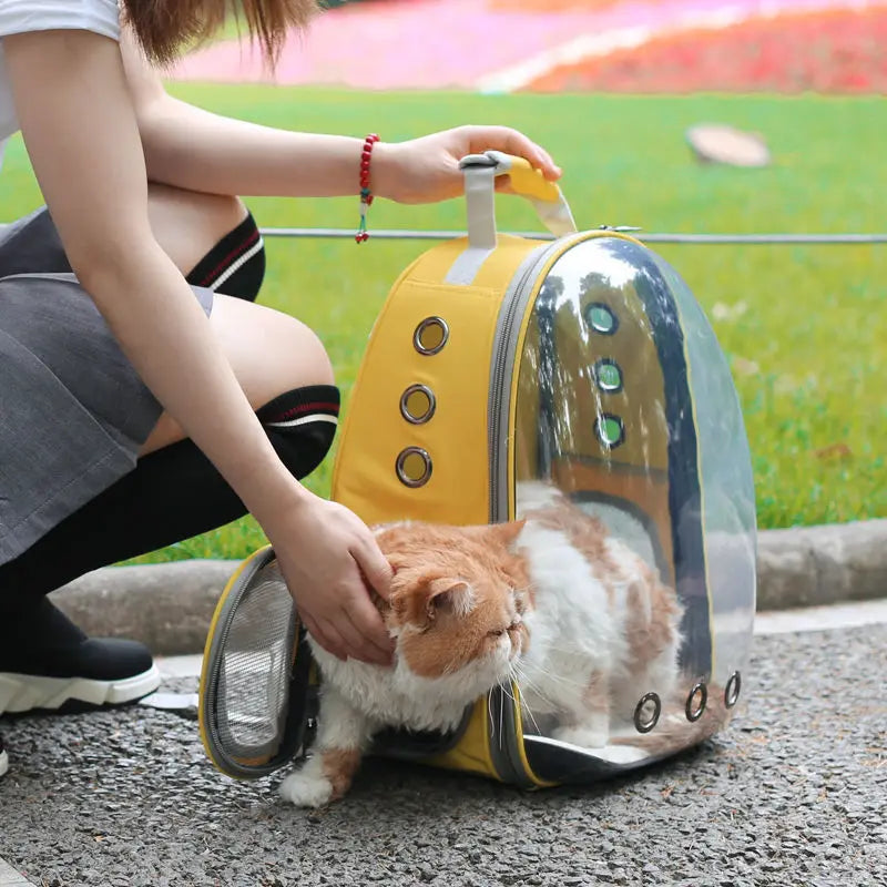 Pet Carrier Backpack Transparent Space Capsule Breathable Cat Dog