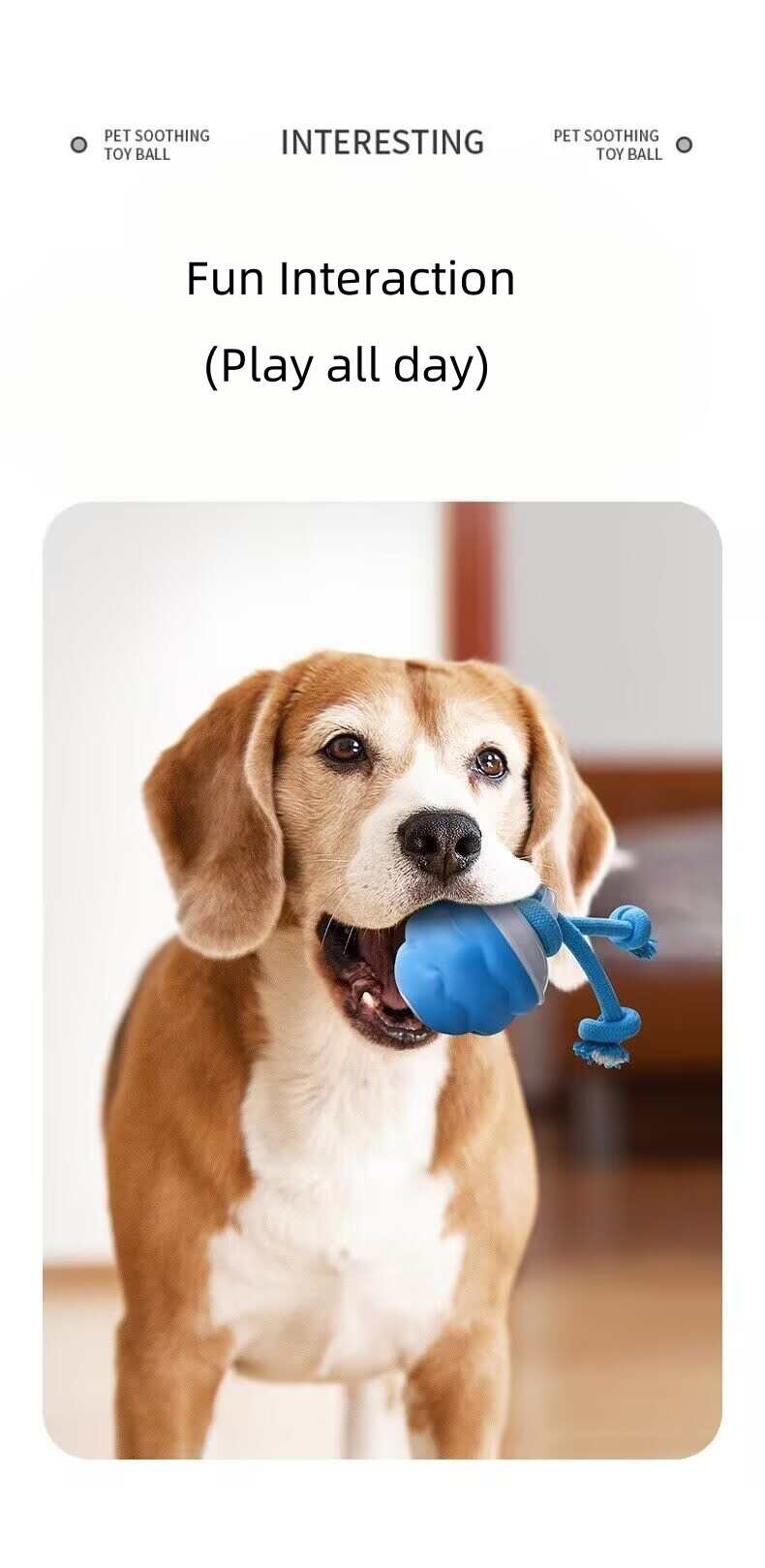 Smart Electric Bouncing Ball Dog Toy with Teeth Cleaning Rope
