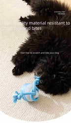 Smart Electric Bouncing Ball Dog Toy with Teeth Cleaning Rope