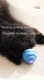 Smart Electric Bouncing Ball Dog Toy with Teeth Cleaning Rope