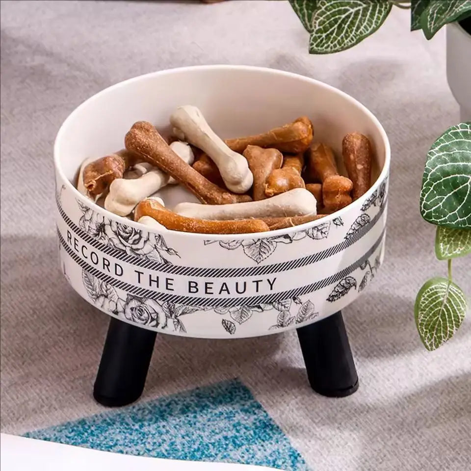 Stainless Steel Elevated Pet Bowls – Raised Feeding Dishes for Cats & Dogs