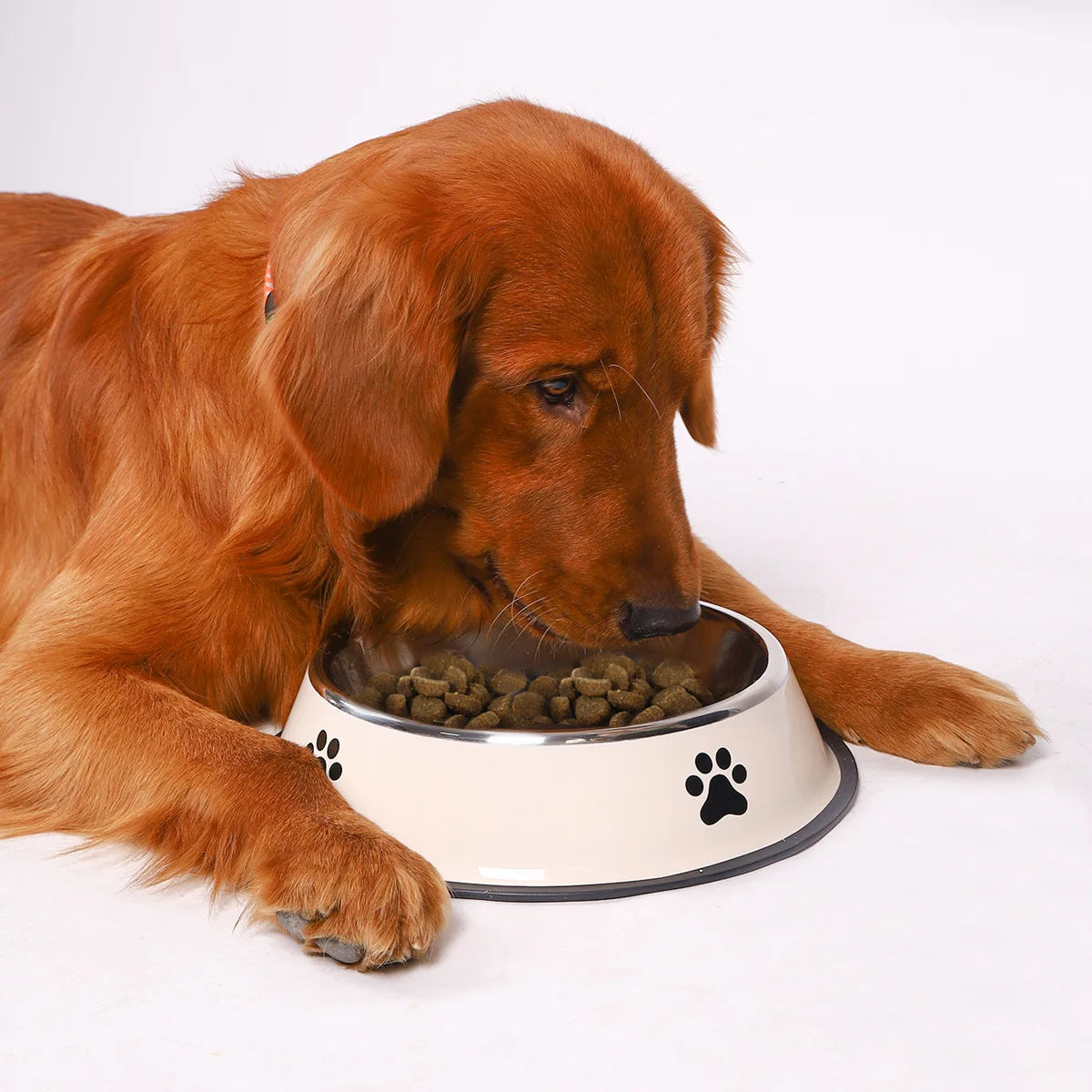 Stainless Steel Pet Food Bowl Anti-Slip Dog Feeding Dish