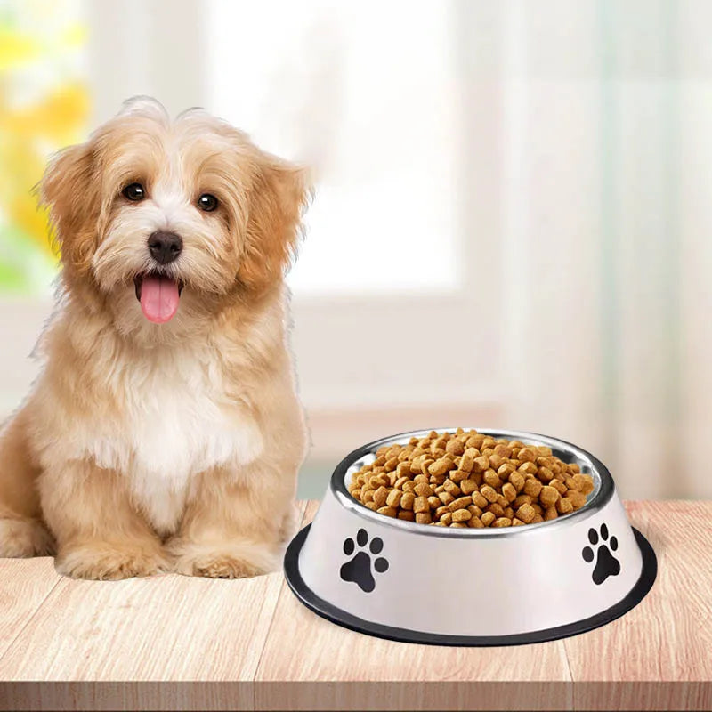 Stainless Steel Pet Food Bowl Anti-Slip Dog Feeding Dish