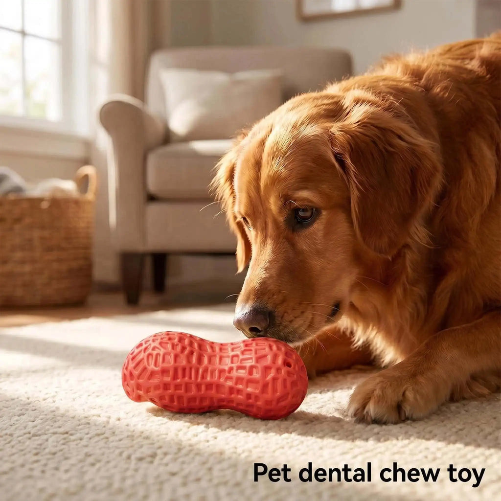 TPR Peanut Dog Toy Squeaky Chew for Puppies & Dogs
