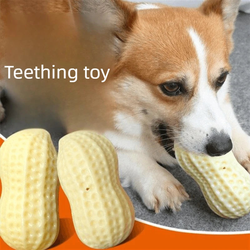 TPR Peanut Dog Toy Squeaky Chew for Puppies & Dogs
