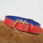 Dual D-Ring PU Leather Dog Collar with Nameplate