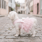 Pink Bowknot Ruffle Sleeveless Dog Dress – Pull-Over Style