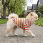 Cotton Striped Dog T-Shirt – Breathable & Comfortable