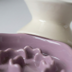 Ceramic Elevated Slow Feeder Bowl for Dogs & Cats