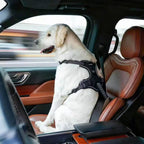 Dog Seat Belt Harness – Crash-Tested Safety Harness for Large Dogs
