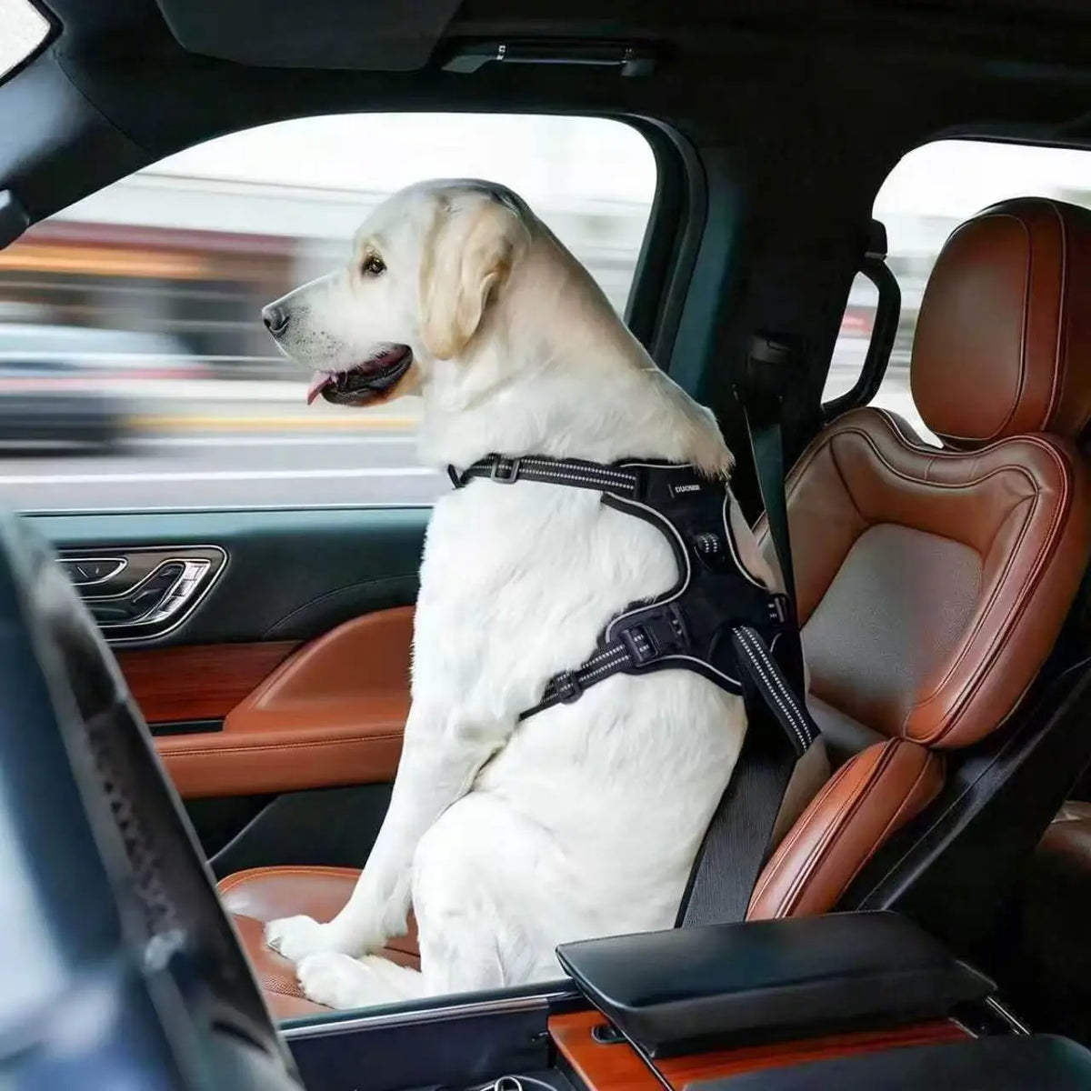 Dog Seat Belt Harness – Crash-Tested Safety Harness for Large Dogs
