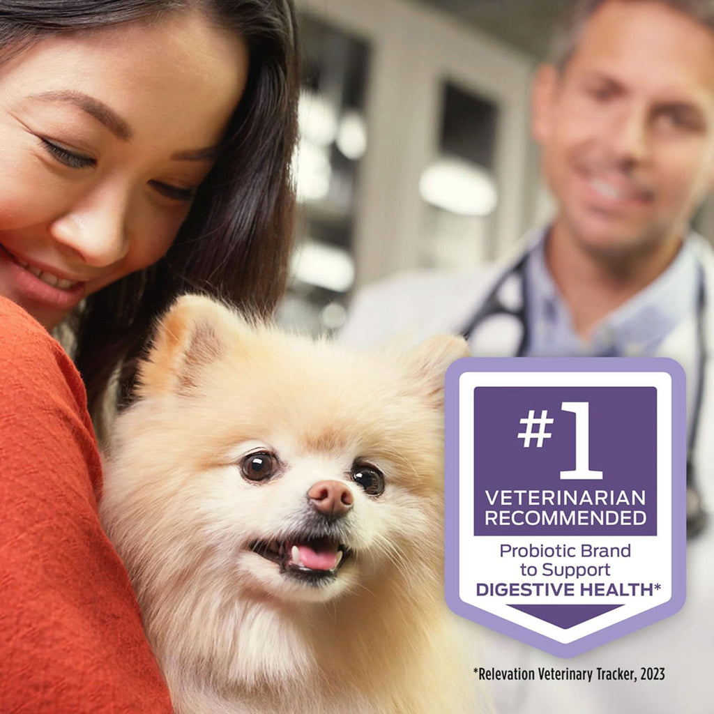 FortiFlora Pro Plan Canine Health Supplement Probiotic Powder for Dogs
