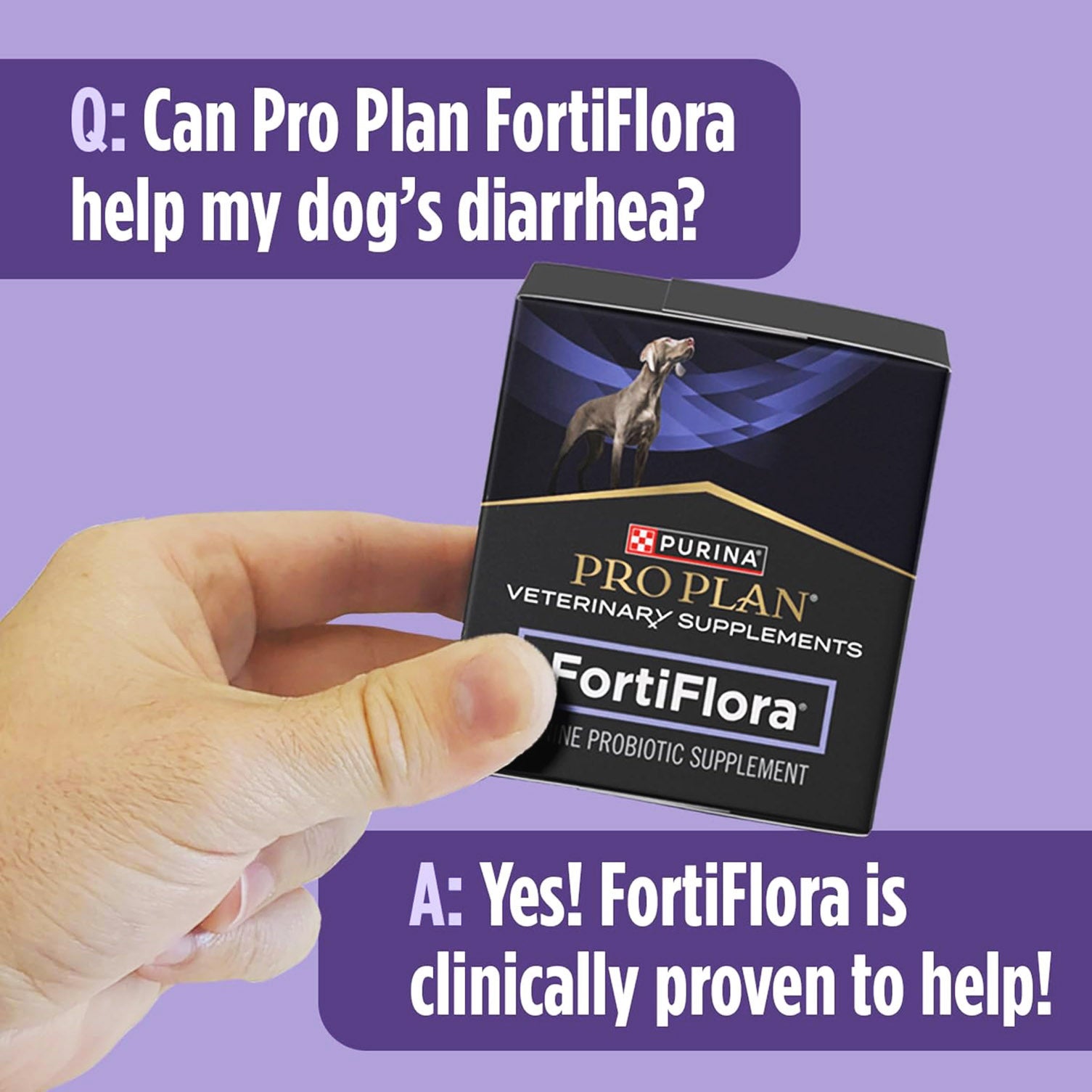 FortiFlora Pro Plan Canine Health Supplement Probiotic Powder for Dogs