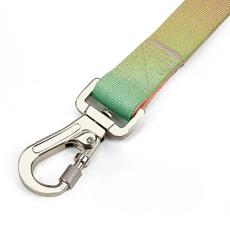 Extra Wide Nylon Dog Collar & Ombre Leash Set – Anti-Pull