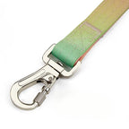 Extra Wide Nylon Dog Collar & Ombre Leash Set – Anti-Pull