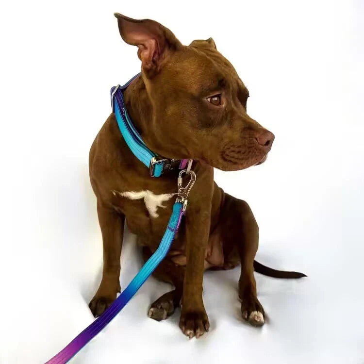 Extra Wide Nylon Dog Collar & Ombre Leash Set – Anti-Pull