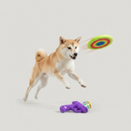 2-in-1 Dual Launcher Toy for Pets & Active Play