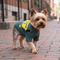 Striped Dog T-Shirt with Fanny Pack Design