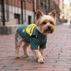 Striped Dog T-Shirt with Fanny Pack Design