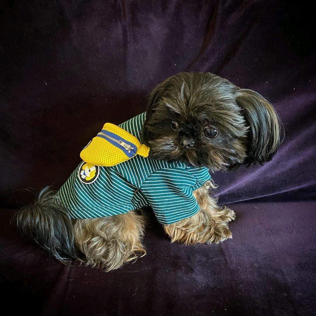 Striped Dog T-Shirt with Fanny Pack Design