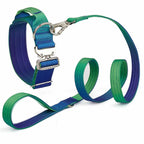 Extra Wide Nylon Dog Collar & Ombre Leash Set – Anti-Pull