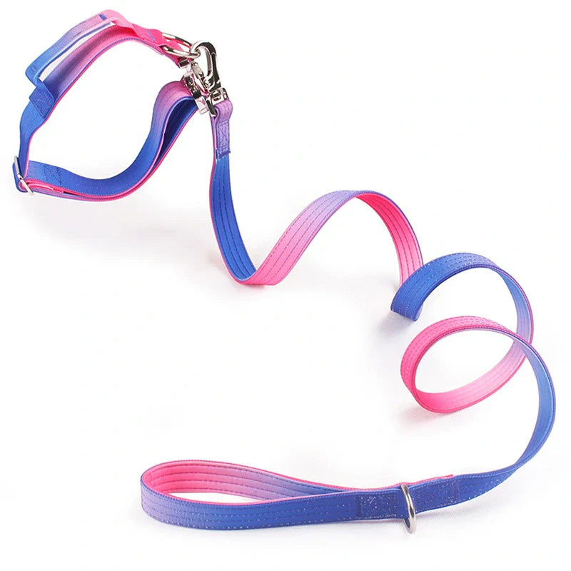Extra Wide Nylon Dog Collar & Ombre Leash Set – Anti-Pull